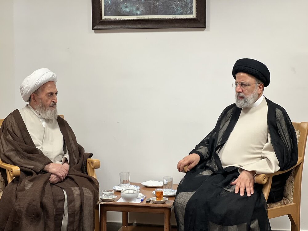 دیدار رئیس جمهور با آیت الله العظمی سبحانی + عکس