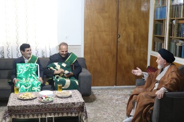 تصاویر/ دیدار سفیران کریمه با آیت الله شاهچراغی