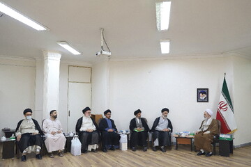 تصاویر/ دیدار نمایندگان عتبه مقدس عباسیه با آیت الله اعرافی