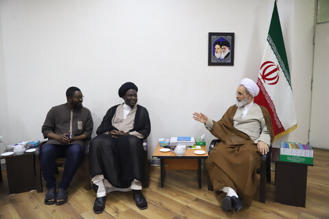 تصاویر/ دیدار عضو ارشد مجلس اعلای اسلامی کشور مالی با آیت الله اعرافی