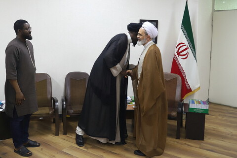 تصاویر/ دیدار عضو ارشد مجلس اعلای اسلامی کشور مالی با آیت الله اعرافی