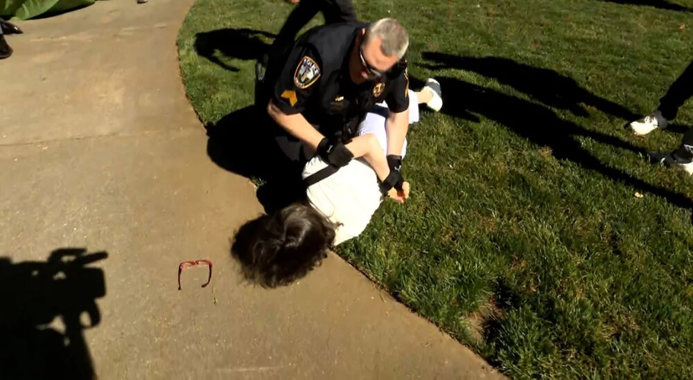 دستکم پنجاه استاد در میان دستگیرشدگان اعتراضات دانشجویی گزارش شده است