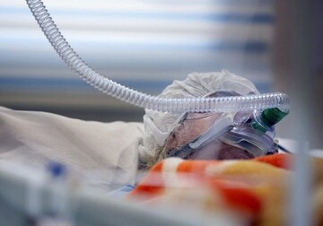 چرا اجرای حدّ بر پزشکان شارب خمر شیراز ضروری است؟