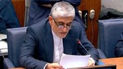 सुरक्षा परिषद में अमेरिकी प्रतिनिधि के ईरान के ख़िलाफ़ दावे निराधार हैं