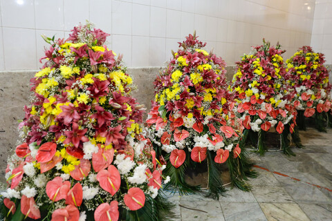 تصاویر/ آماده‌سازی گل‌های حرم مطهر رضوی در دهه کرامت