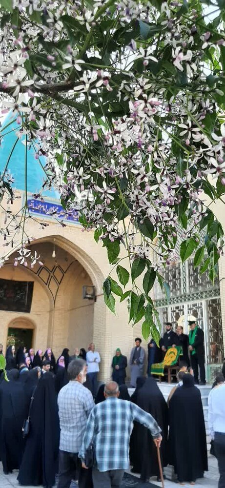 استقبال از خادمان خورشید در بزرگترین روستای کاشان