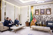सऊदी अरब में ईरान के राजदूत से सऊदी के आंतरिक मंत्री ने मुलाकात की और राष्ट्रपति रईसी के निधन पर दुख व्यक्त किया