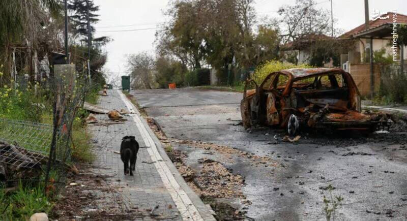 حزب اللہ کے میزائل حملوں کے بھاری نقصانات پر اسرائیلی وزارت جنگ کی رپورٹ