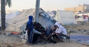 رفح میں اسرائیلی جارحیت کے سبب امدادی ترسیل میں دو تہائی کمی آئی ہے:اقوامِ متحدہ
