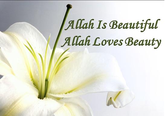 Allah is Beautiful and He Loves Beauty