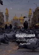 صوت| از امام جواد علیه السلام به عنوان مولودی پر خیر و برکت یاد می‌شود