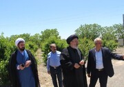 باغات وقفی آذربایجان شرقی باید احیا شوند