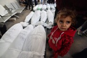 غزہ میں شہداء کی تعداد 37 ہزار سے تجاوز کر گئی
