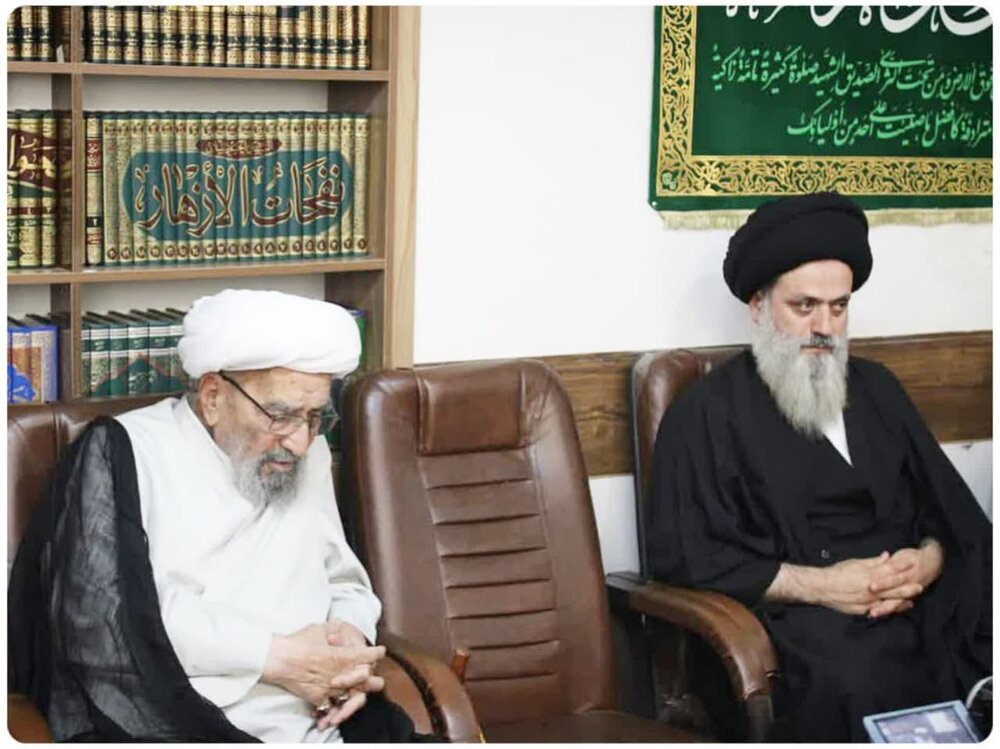 دیدار مدیر و اساتید مدرسه علمیه امام خمینی(ره) گرگان با آیتالله اشرفی شاهرودی در مشهد+ عکس