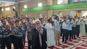 فیلم| نماز عید قربان در کنگان