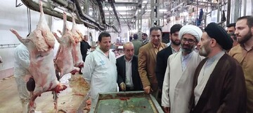 تصاویر/ بازدید نماینده ولی فقیه در لرستان از کشتارگاه صنعتی خرم آباد