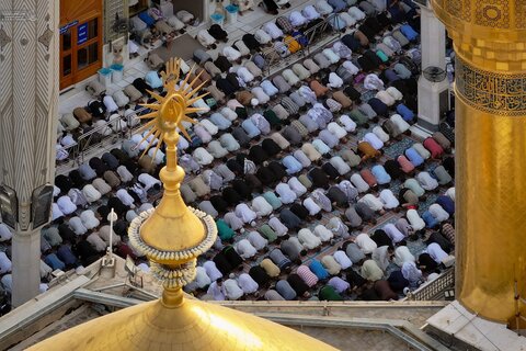 اقامه نماز عید قربان در جوار مرقد امیر مؤمنان (ع)