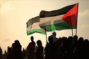 Séminaire en ligne "Fierté mondiale pour la persévérance et la patience du peuple de Gaza "