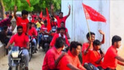 धूमधाम से मनाया गया ईदे ग़दीर का जश्न और निकाला गया जुलूस