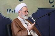 امام خمینی(ره) از همان آغاز شناخت بین‌المللی داشتند / پیوند ایران با اسلام بر پایه عقل و علم و دانش است