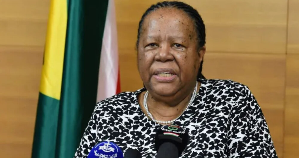 مقال | ناليدي باندور !