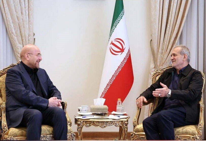 دیدار رئیس‌ مجلس با رئیس‌ جمهور منتخب