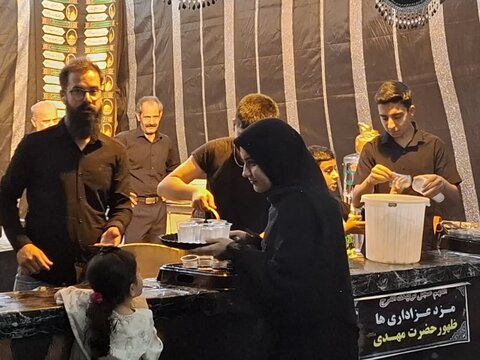 تصاویر/ برپایی موکب‌های حسینی در فین کاشان