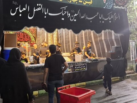 تصاویر/ برپایی موکب‌های حسینی در فین کاشان