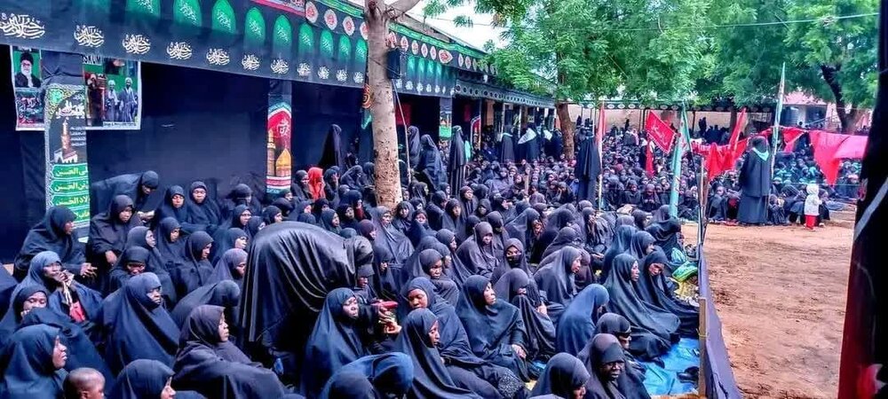 نیجریه  برای امام حسین علیه السلام عزاداری کرد + تصاویر