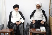 आयतुल्लाह हाफ़िज़ बशीर हुसैन नजफ़ी से आयतुल्लाह सय्यद अलवी बुरुजर्दी की मुलाक़ात