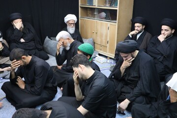 تصاویر/ برگزاری مجلس عزای حسینی با حضور آیت الله العظمی بشیر نجفی