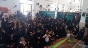 فیلم | همایش شیرخوارگان حسینی در کوهنانی