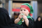 فیلم| همایش شیرخوارگان مهدوی در بوشهر