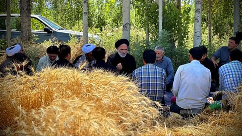 تصاویر/ بازدید امام جمعه و رئیس شورای زکات سلماس از مزارع