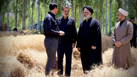 تصاویر/ بازدید امام جمعه و رئیس شورای زکات سلماس از مزارع