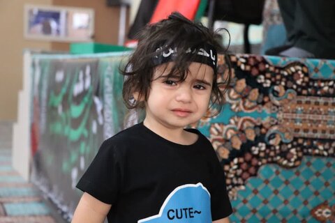 تصاویر/ مراسم شیرخوارگان حسینی در تکاب