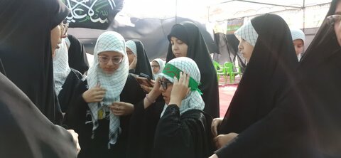 تصاویر/برگزاری همایش شیرخوارگان حسینی در اراک
