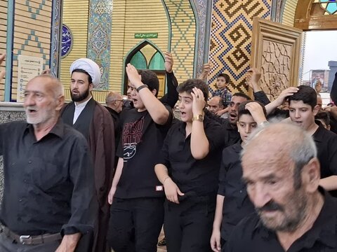 تصاویر/ عزاداری هیئت متحده محمدی آران و بیدگل در آستان مقدس هلال بن علی(ع)