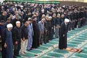تصاویر/ اقامه نماز ظهر عاشورا در بوشهر