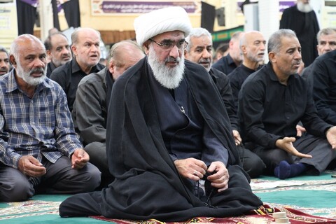 تصاویر| نماز ظهر عاشورا در بوشهر