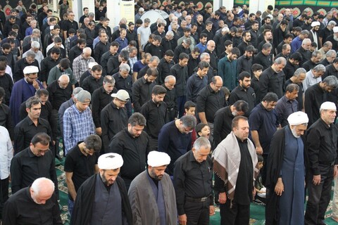 تصاویر| نماز ظهر عاشورا در بوشهر