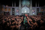 فیلم | آزادی شیعیان در کدام کشور کمتر است؟