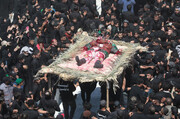 تصاویر/ عزاداری قبیله بنی اسد در دفن اجساد شهدای کربلا