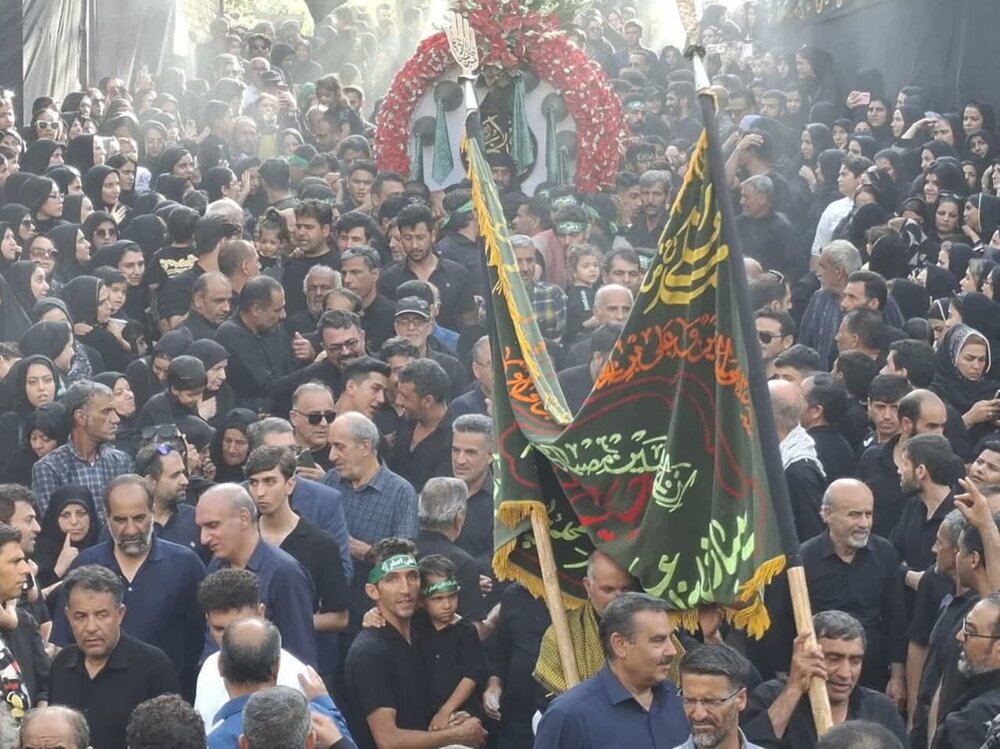 آیین سنتی نخلبرداری در کهن باغشهر نیاسر برگزار شد