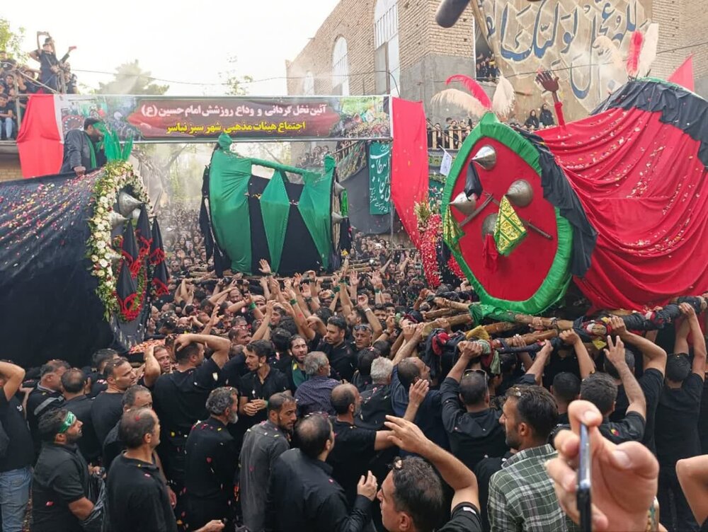 آیین سنتی نخلبرداری در کهن باغشهر نیاسر برگزار شد