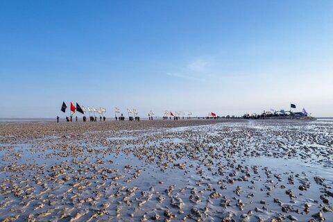 مسيرة زوار الأربعينية مشيا على الأقدام من رأس البيشة إلى كربلاء