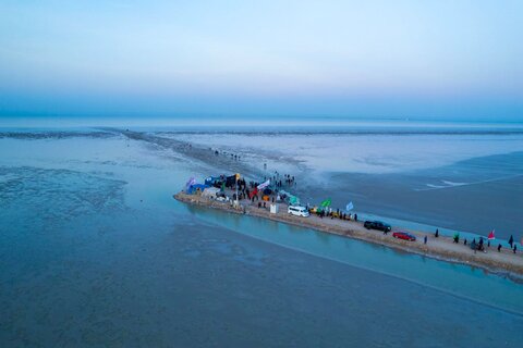 موكب السيدة رقية (عليها السلام) في منطقة رأس البيشة بالفاو