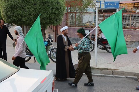 تصاویر/ استقبال امام جمعه عالیشهر از کاروان پیاده اربعین