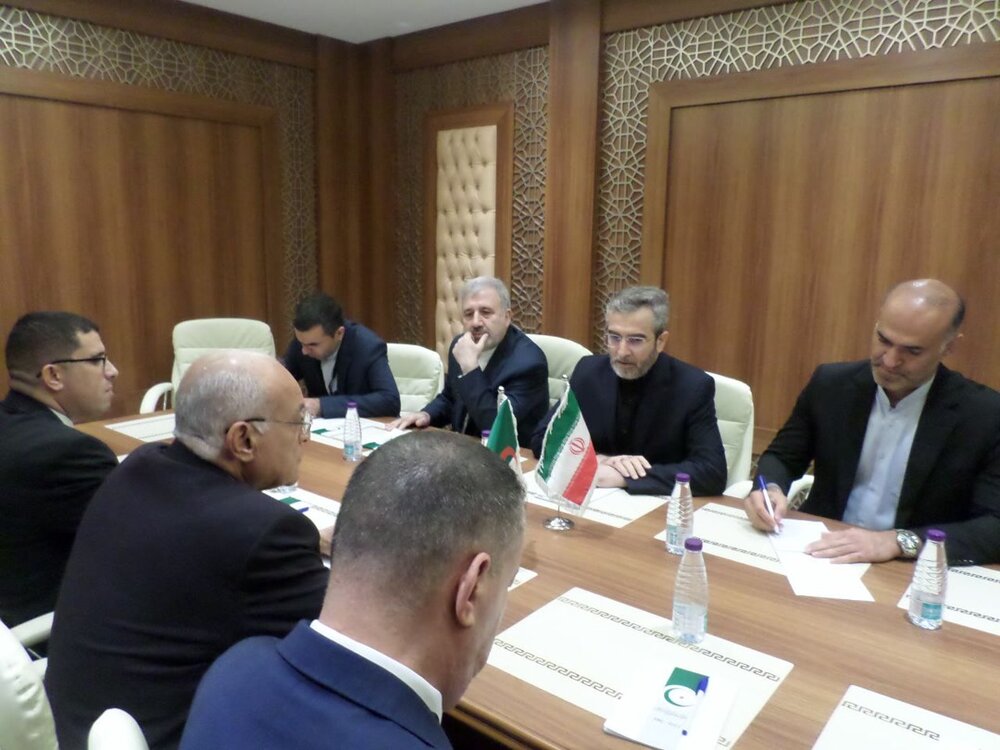 مسئلہ فلسطین کے حوالے سے ایران اور الجزائر کی بڑی ذمہ داریاں ہیں: قائم مقام وزیر خارجہ ایران