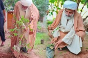 چیرمین ایم ڈبلیو ایم اور سینیٹر علامہ راجہ ناصر عباس نے جشنِ آزادی کی مناسبت سے شجر کاری مہم کا آغاز کردیا